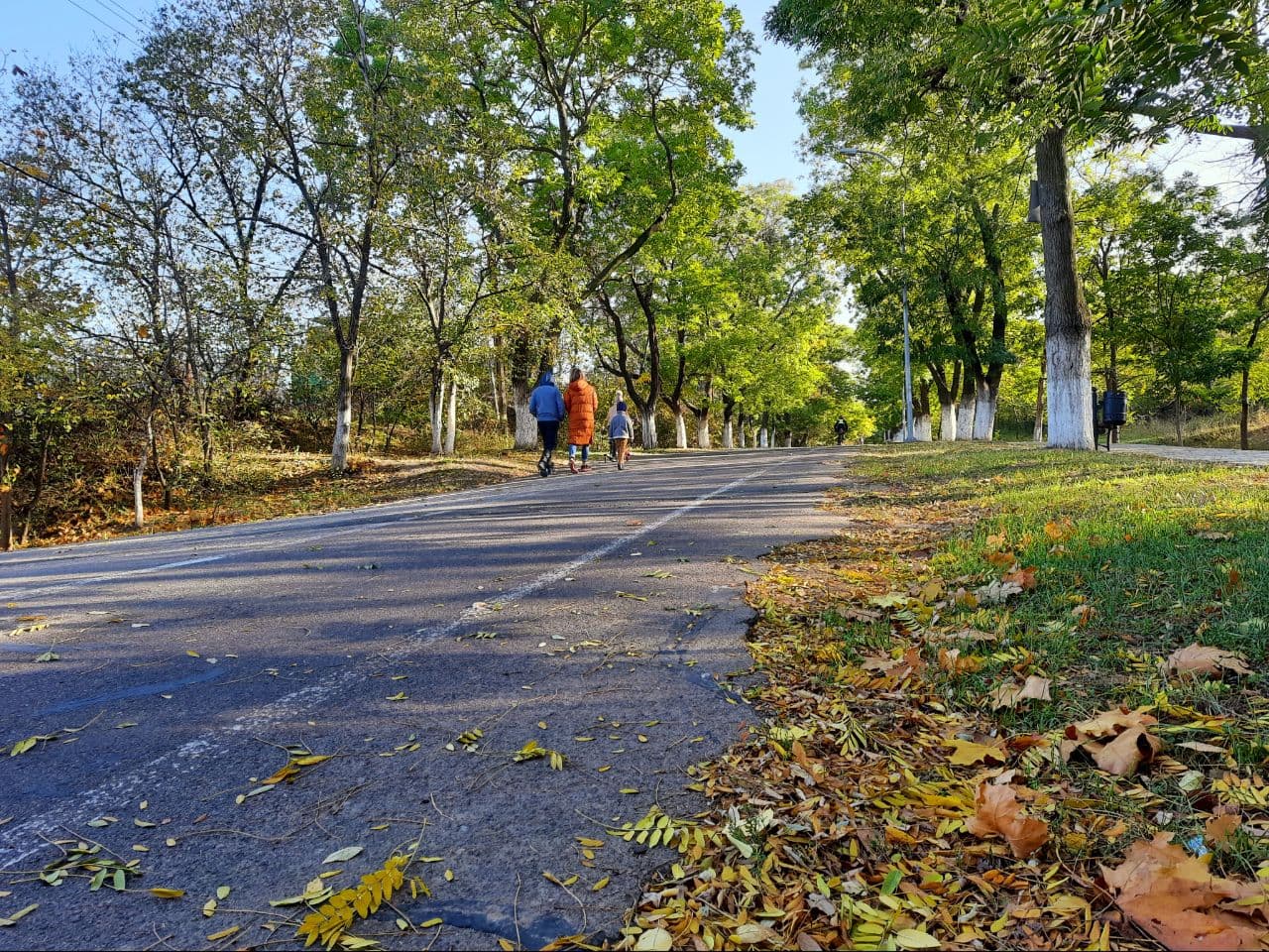 Осень на Трассе Здоровья в Одессе: фоторепортаж с самых красивых мест города. Фото автора