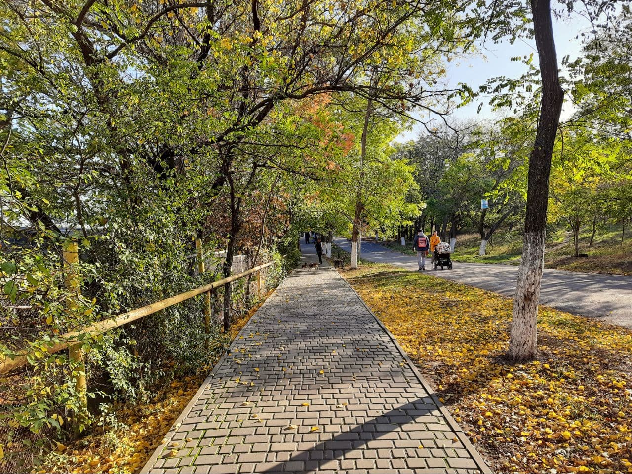 Осень на Трассе Здоровья в Одессе: фоторепортаж с самых красивых мест города. Фото автора