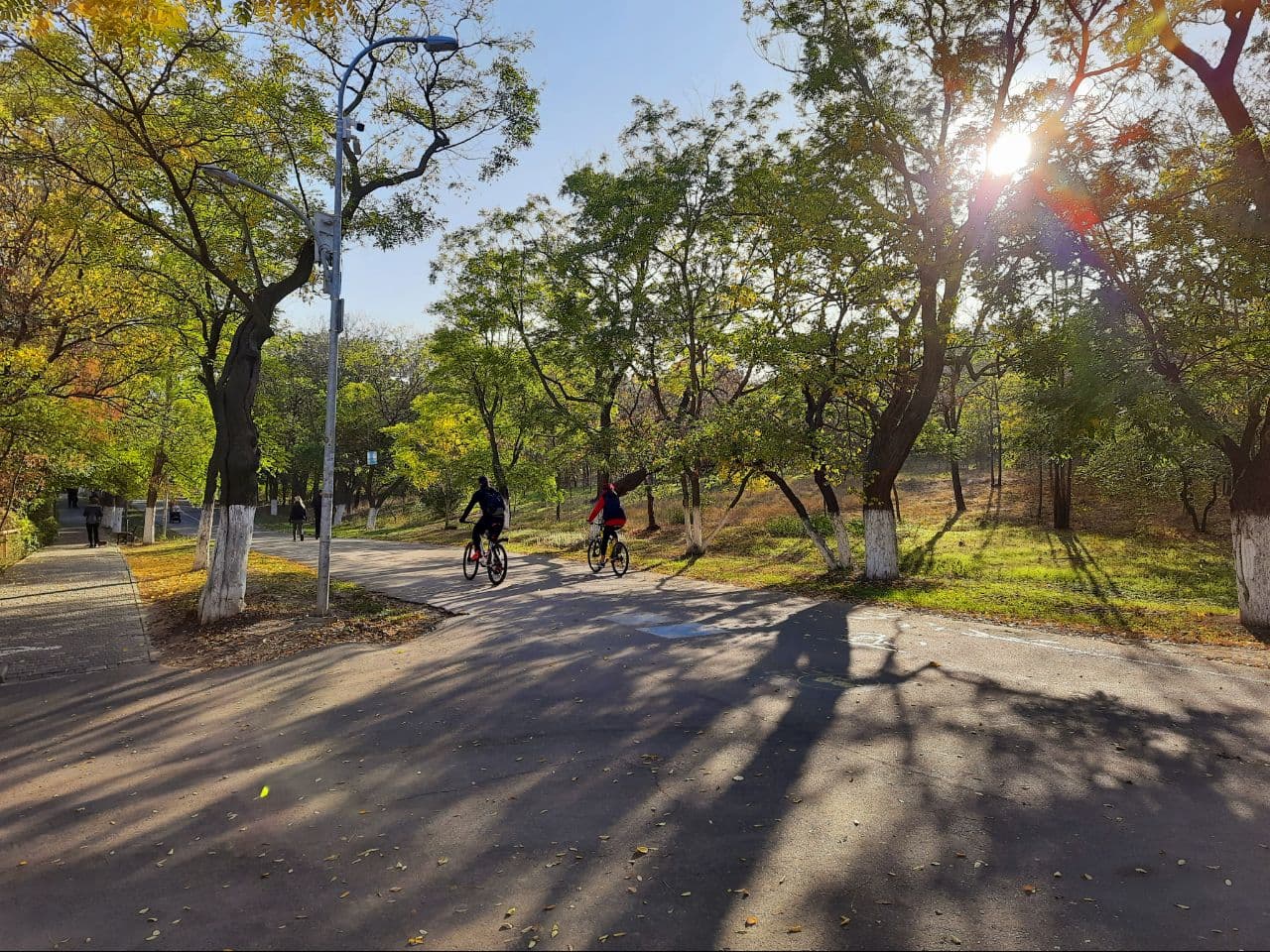 Осень на Трассе Здоровья в Одессе: фоторепортаж с самых красивых мест города. Фото автора