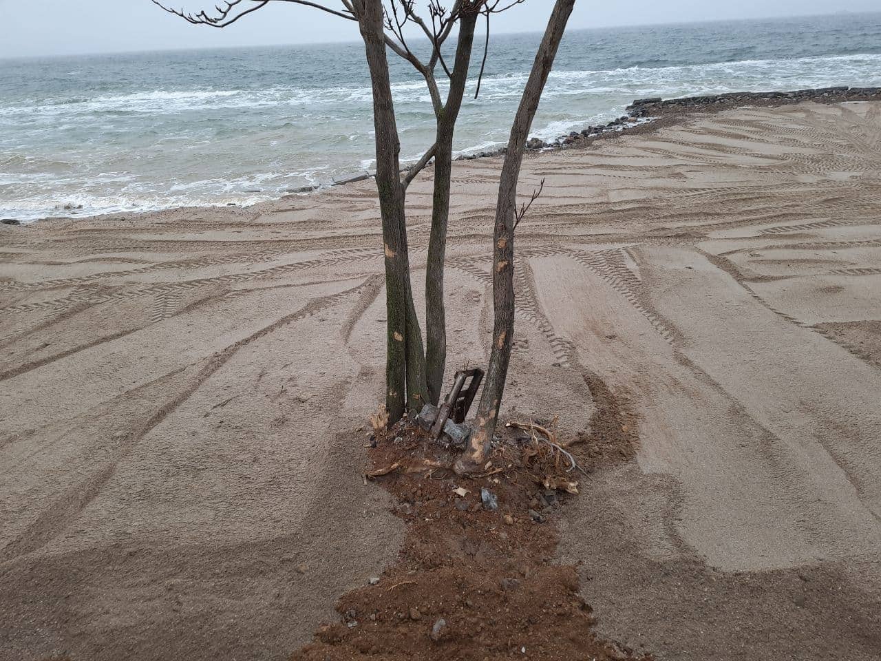 На "Дельфине" восстанавливают пляж: что готовят для одесситов. Фото Марины Повертайло