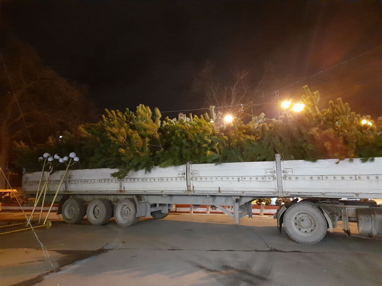 Установка елок, карусель и праздничная подсветка: в Одессе начали подготовку к Новому году