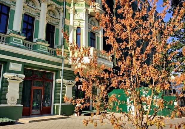 Не прижились: возле дома Руссова засохли деревья, которые посадил Труханов