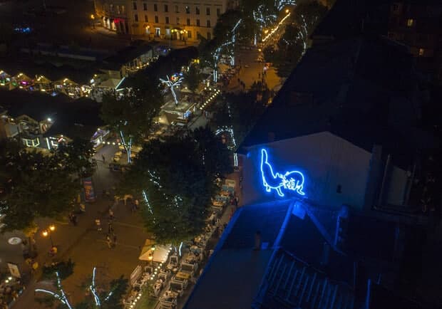 инсталляция кота и кошки «Мур-Мяу». Фото: Вячеслав Грубый