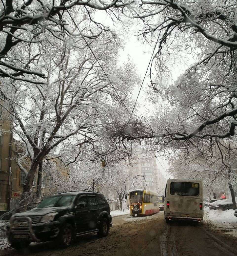 На улице Пантелеймоновской из-за упавшей ветки не ходят трамваи. Фото: телеграм-канал "Одесса Сейчас"