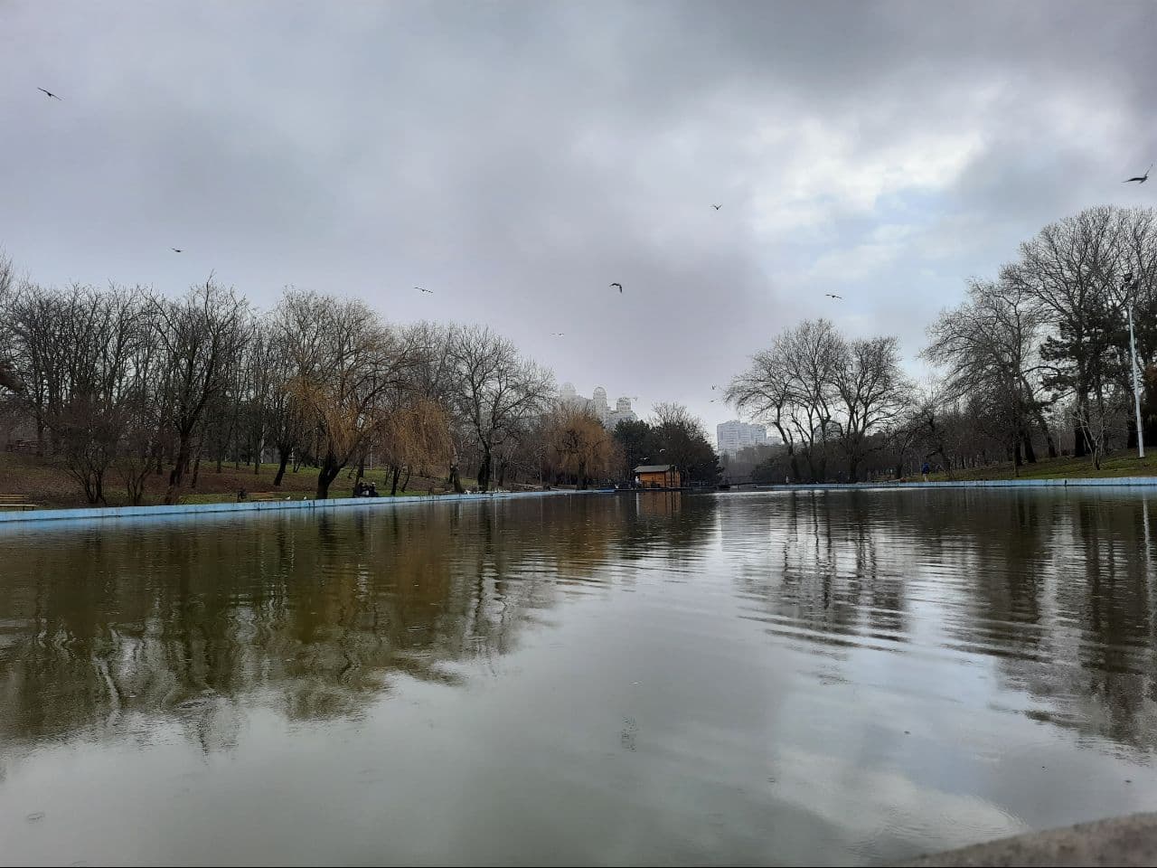 Как выглядит одесский парк Победы в марте 2021 года. Фото Марины Повертайло