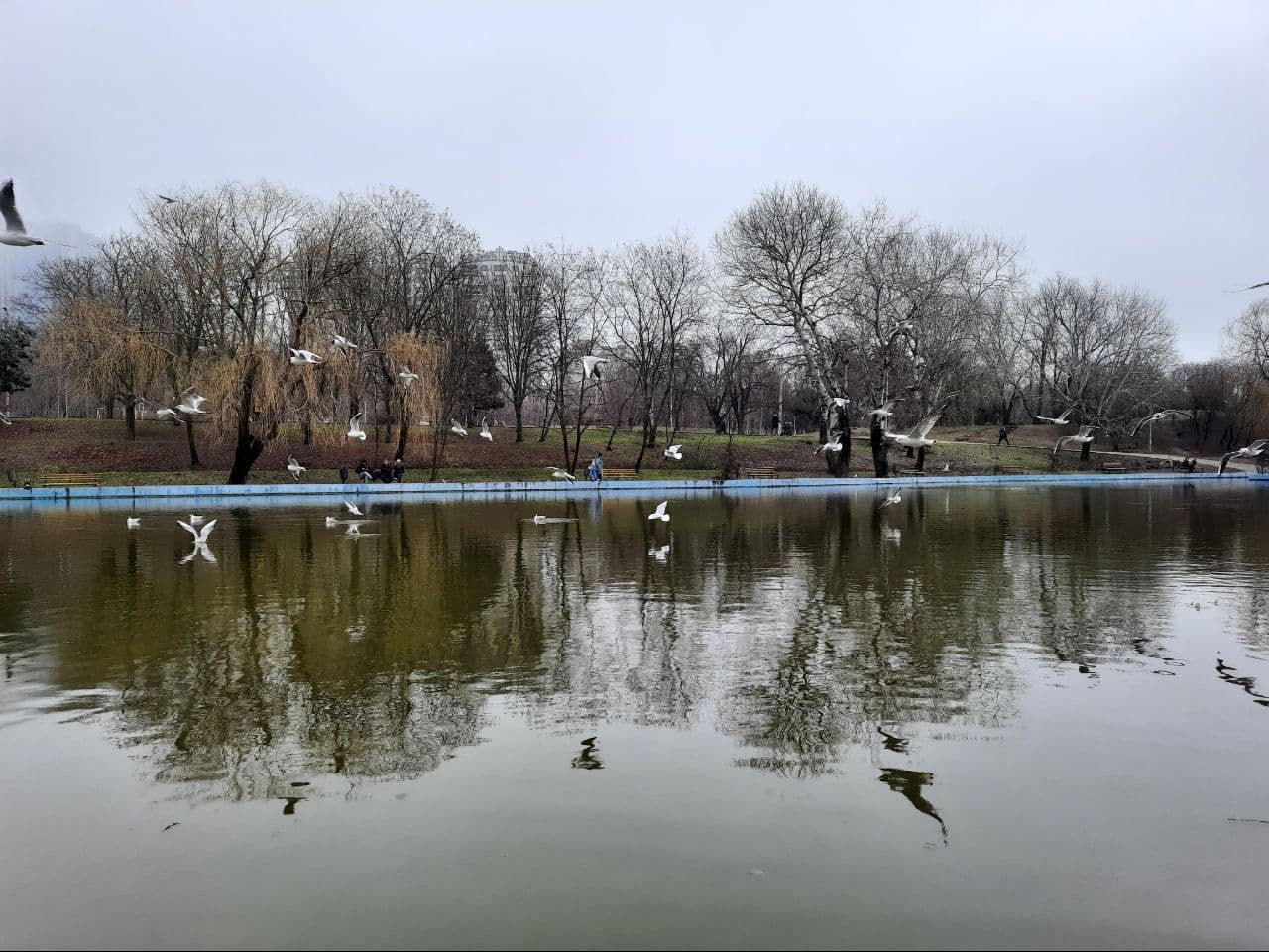 Как выглядит одесский парк Победы в марте 2021 года. Фото Марины Повертайло