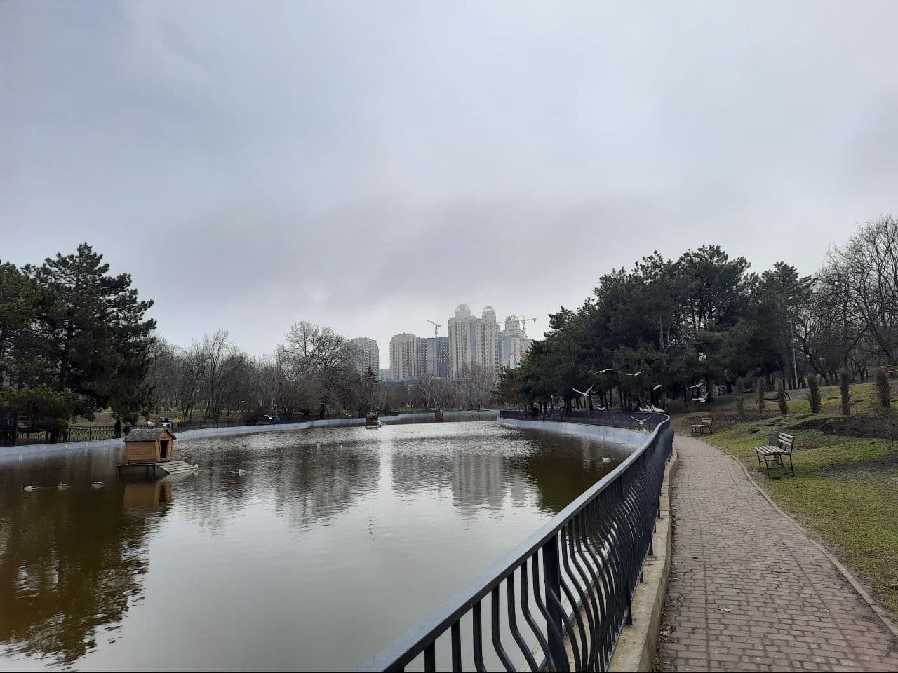 Как выглядит одесский парк Победы в марте 2021 года. Фото Марины Повертайло