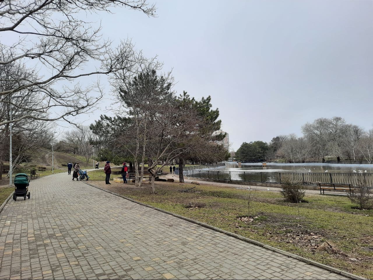 Как выглядит одесский парк Победы в марте 2021 года. Фото Марины Повертайло