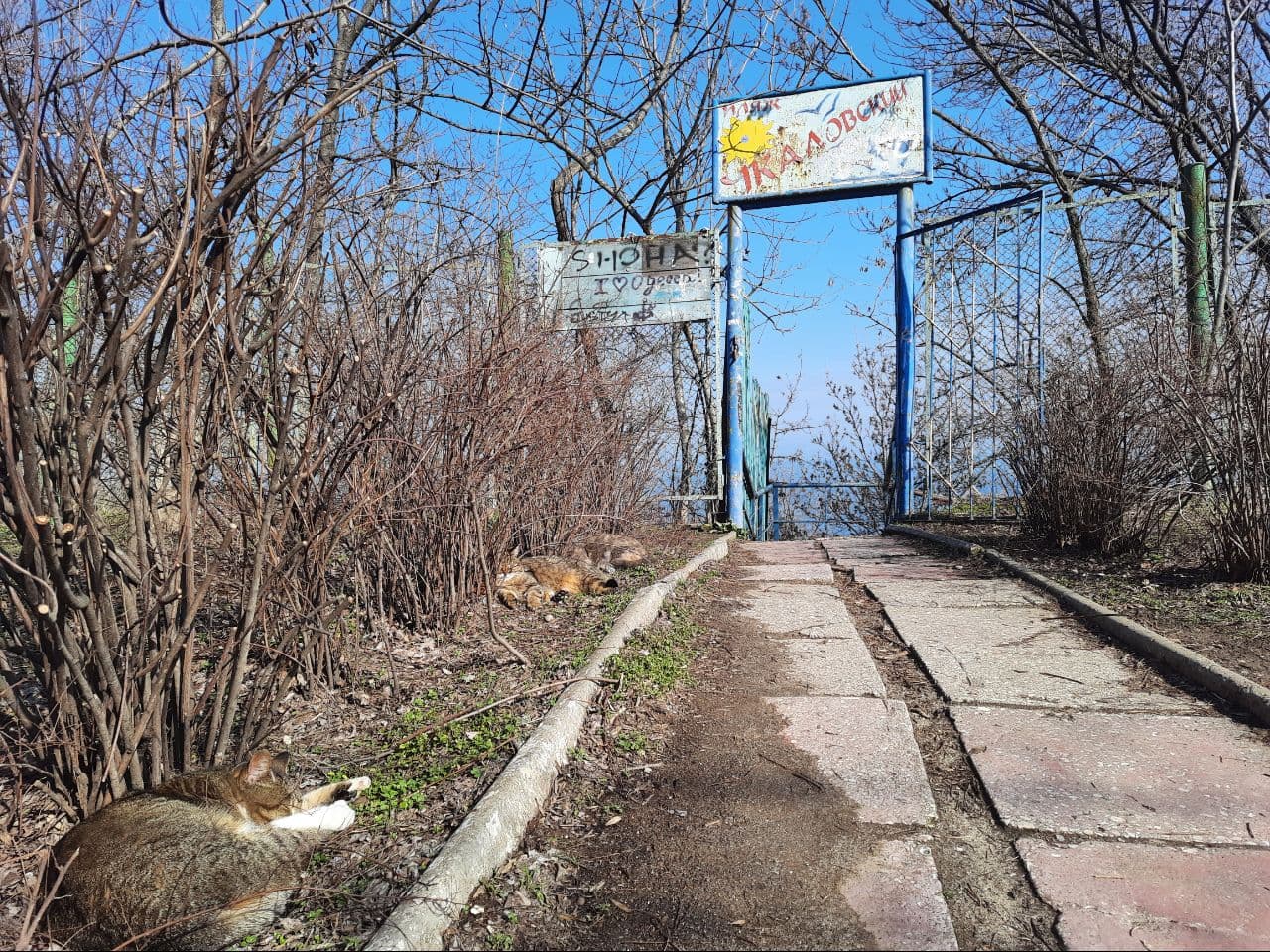 Как выглядят пляжи Одессы в марте 2021 года. Фото Марины Повертайло