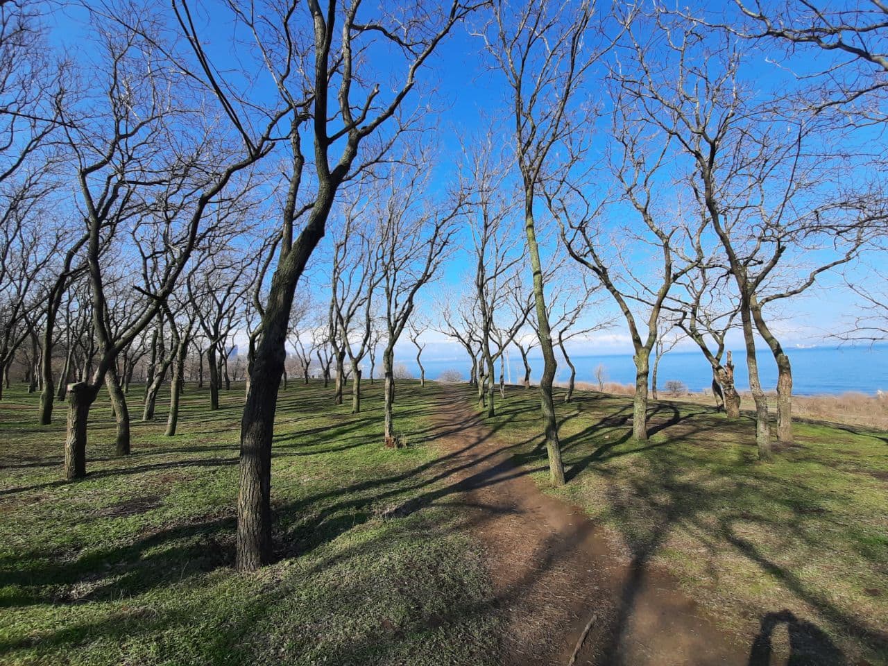 Как выглядят пляжи Одессы в марте 2021 года. Фото Марины Повертайло