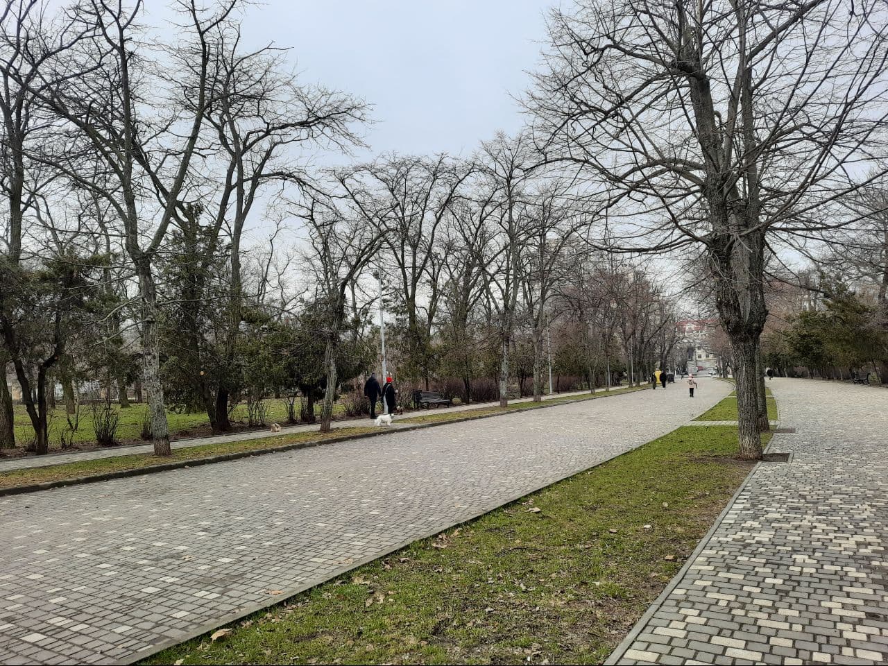 Как выглядит одесский парк Победы в марте 2021 года. Фото Марины Повертайло