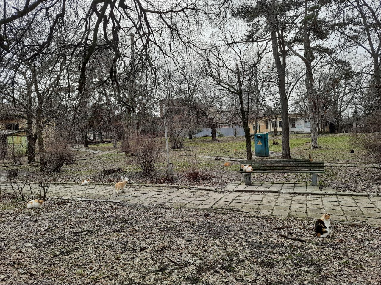 Последний уголок старой Аркадии: как выглядит санаторий "Молдова". Фото Марины Повертайло