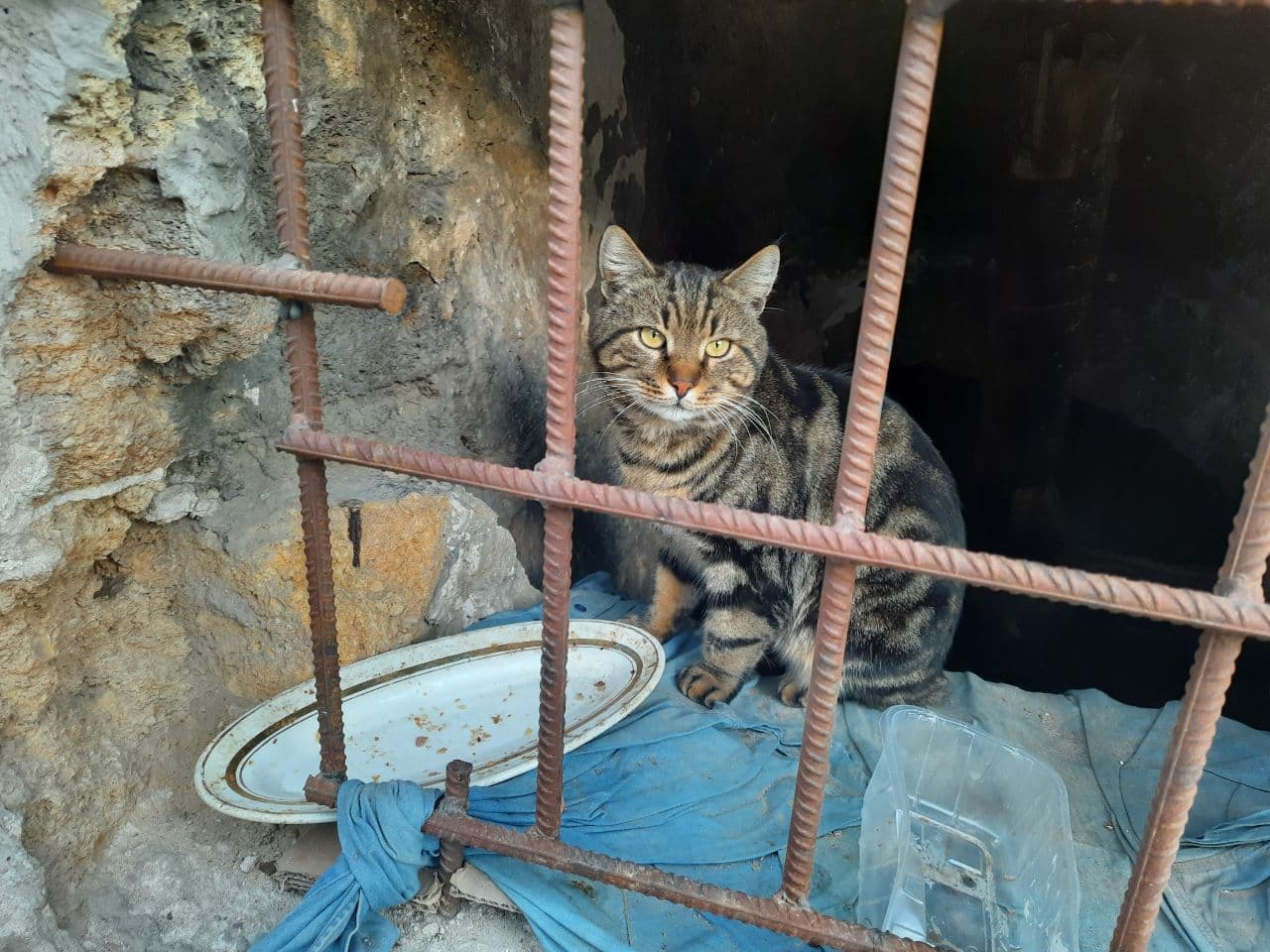 Дом с единорогами: в центре Одессы реставрируют старинный памятник архитектуры. Фото Марины Повертайло