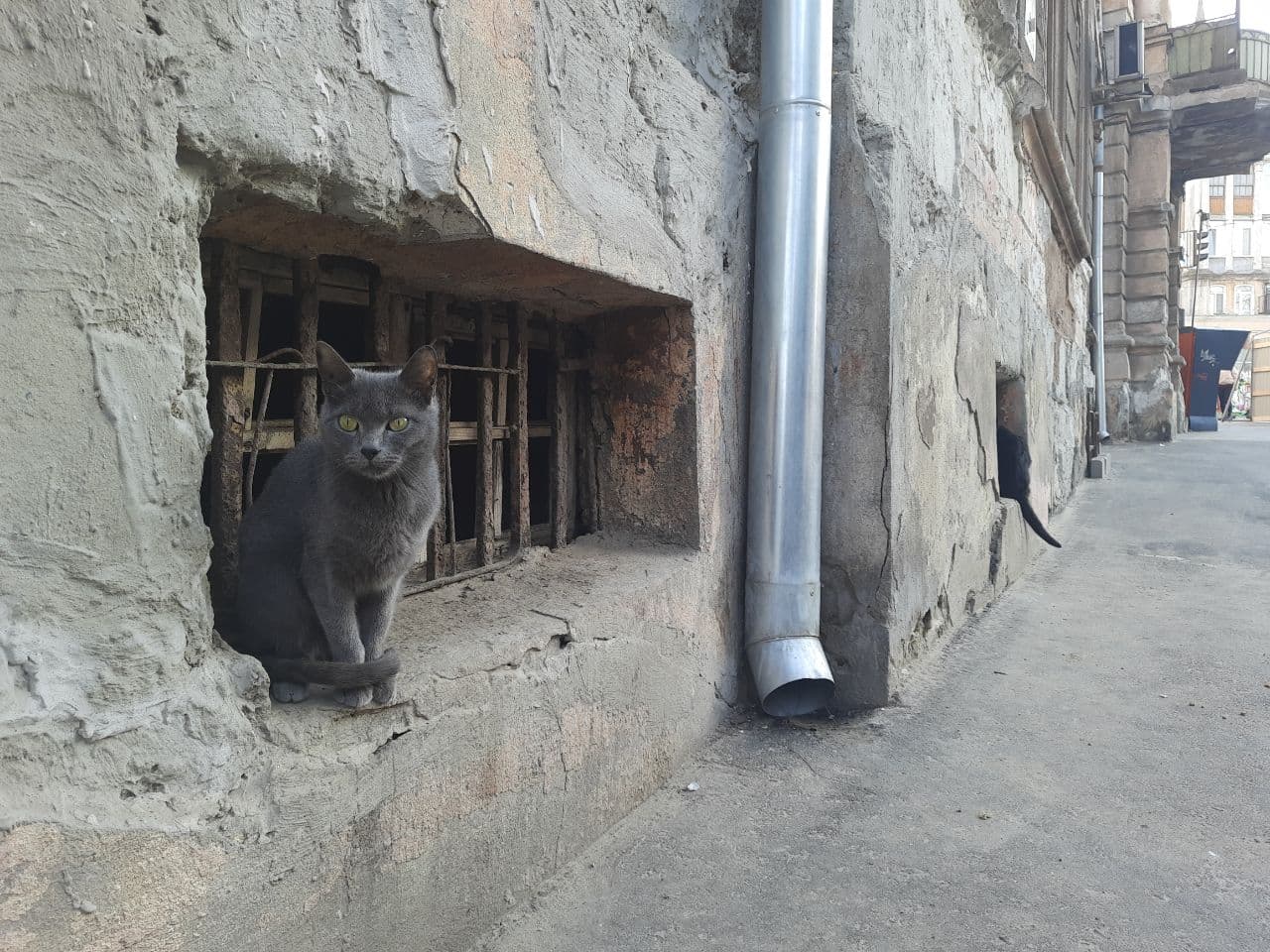 Дом с единорогами: в центре Одессы реставрируют старинный памятник архитектуры. Фото Марины Повертайло