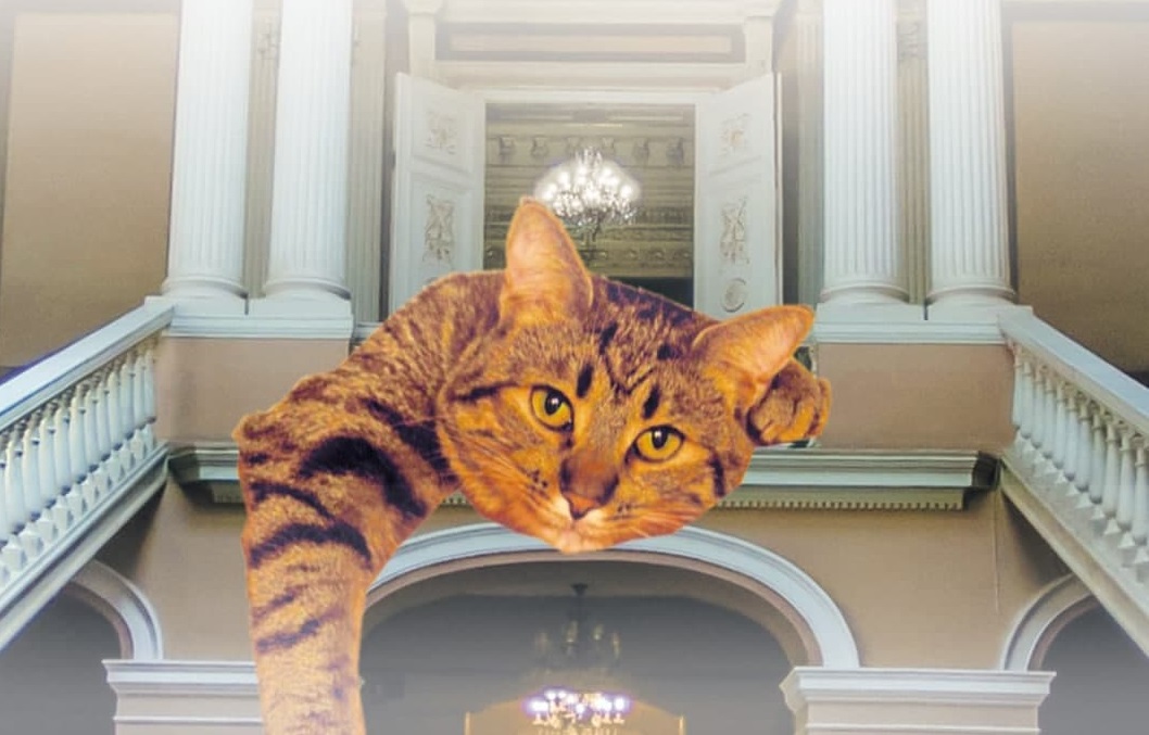 Музейная ночь "Здравствуй, моя Мурка"