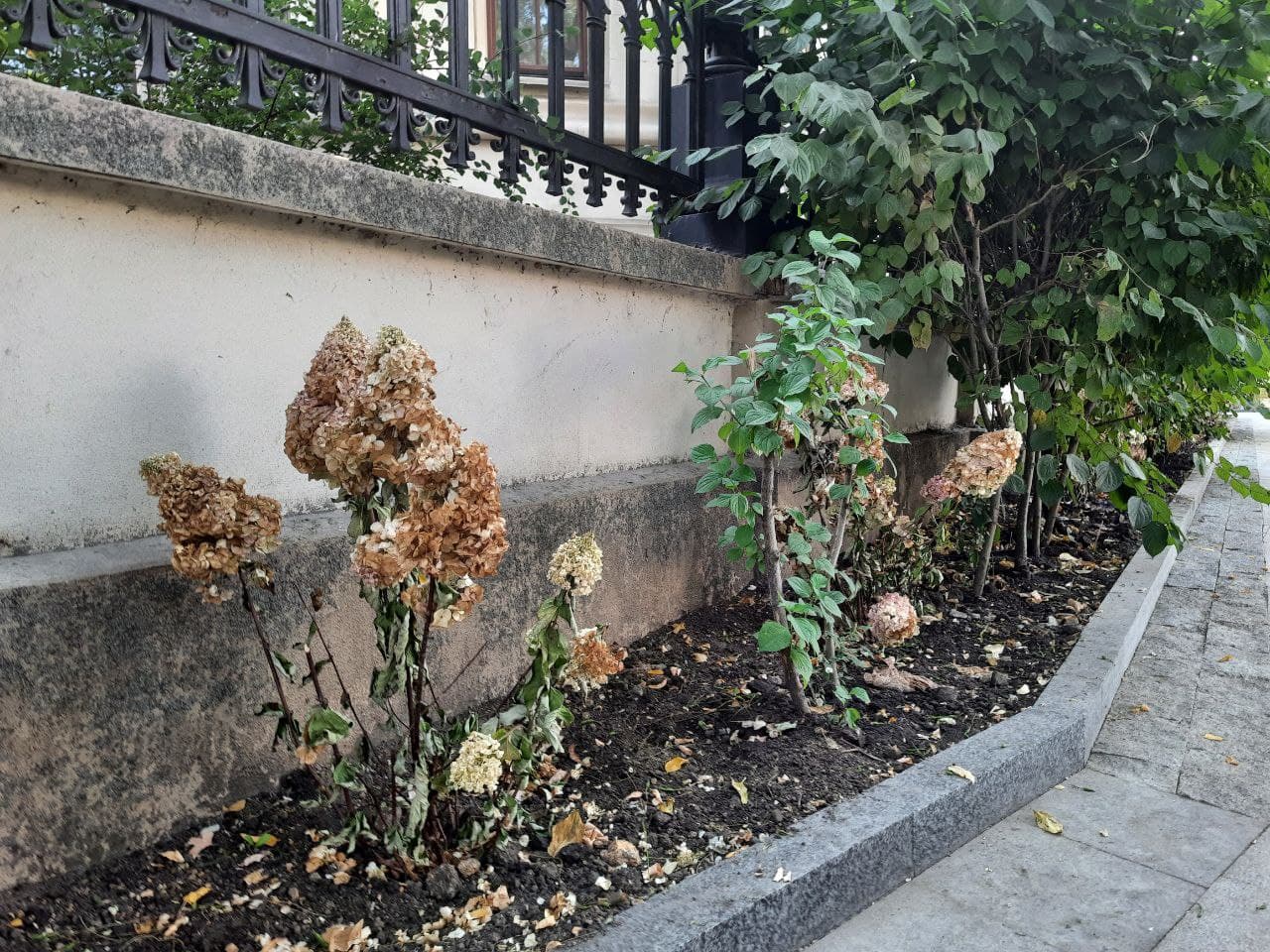 Реконструкция за 142 миллиона: в Одессе открыли еще одну часть бульвара Жванецкого. Фото Марины Повертайло