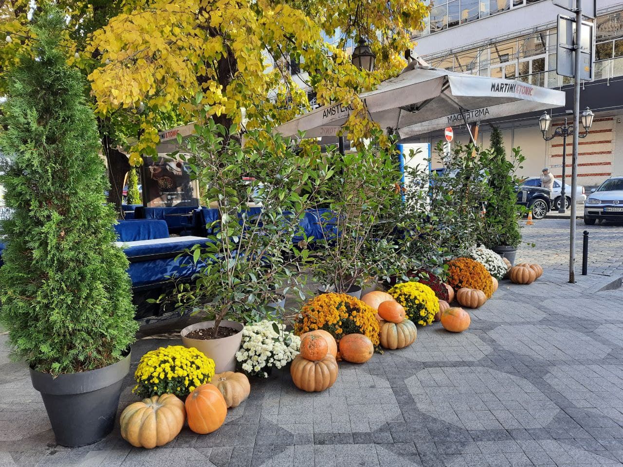 Ресторан "Амстердам" на улице Дерибасовской, 14. Фото Марины Повертайло