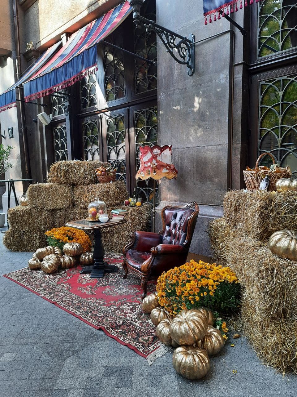 Ресторан 12 monkeys на улице Дерибасовской, 12. Фото Марины Повертайло