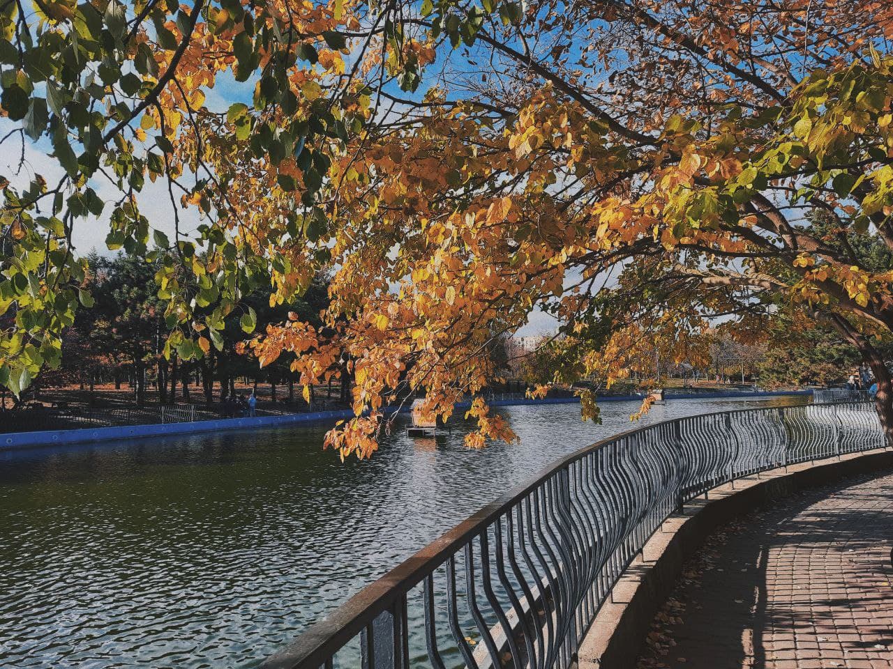 Парк Победы в Одессе в октябре 2021 года. Фото Марины Повертайло