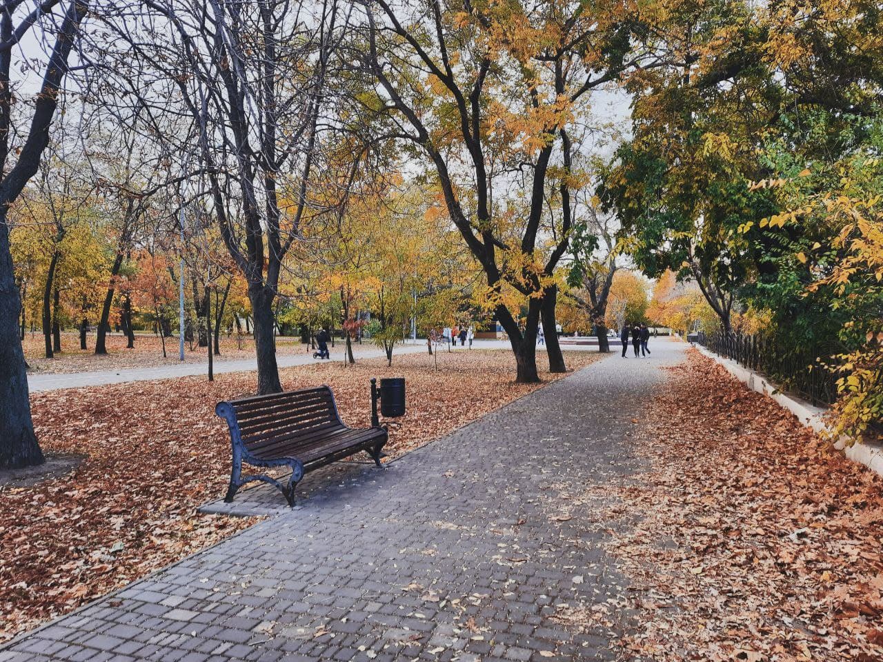 Парк Шевченко в Одессе в октябре 2021 года. Фото Марины Повертайло