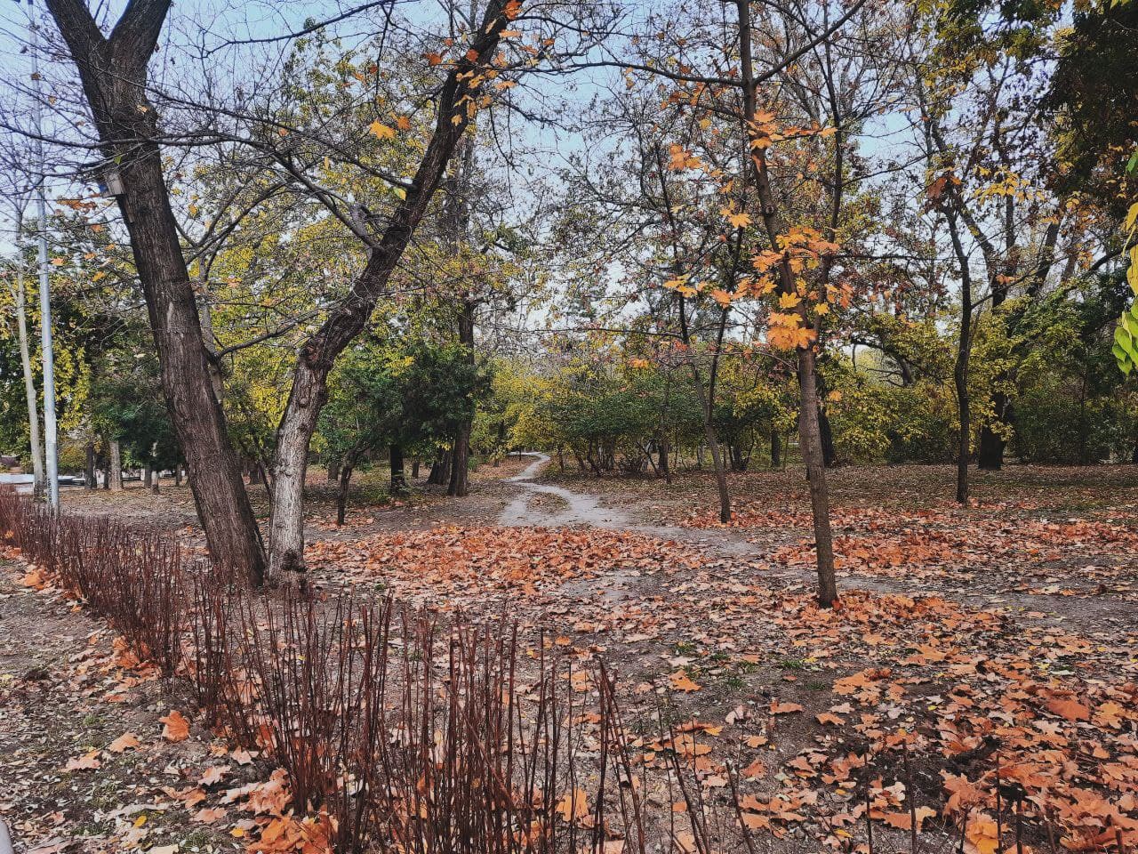 Парк Шевченко в Одессе в октябре 2021 года. Фото Марины Повертайло