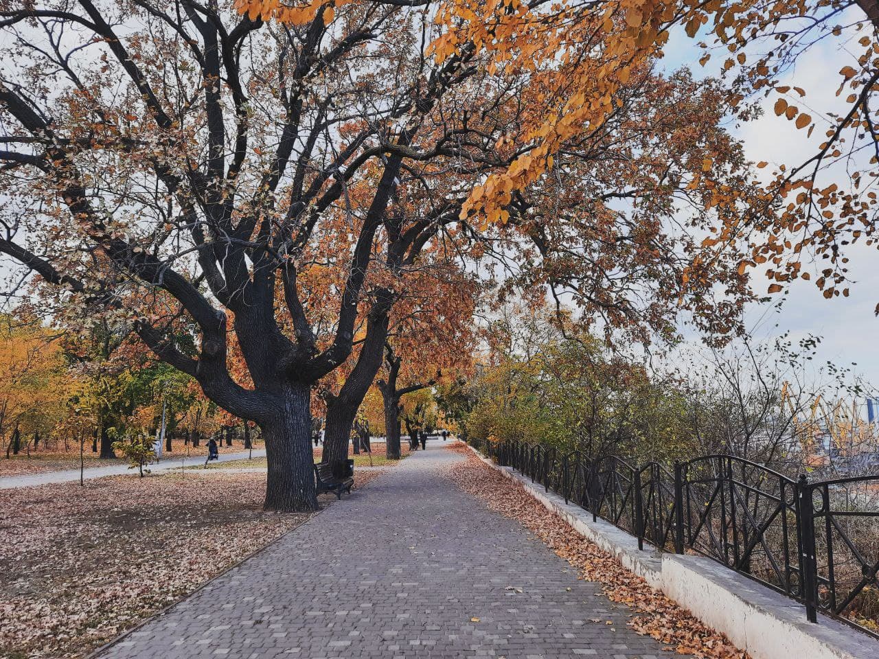 Парк Шевченко в Одессе в октябре 2021 года. Фото Марины Повертайло
