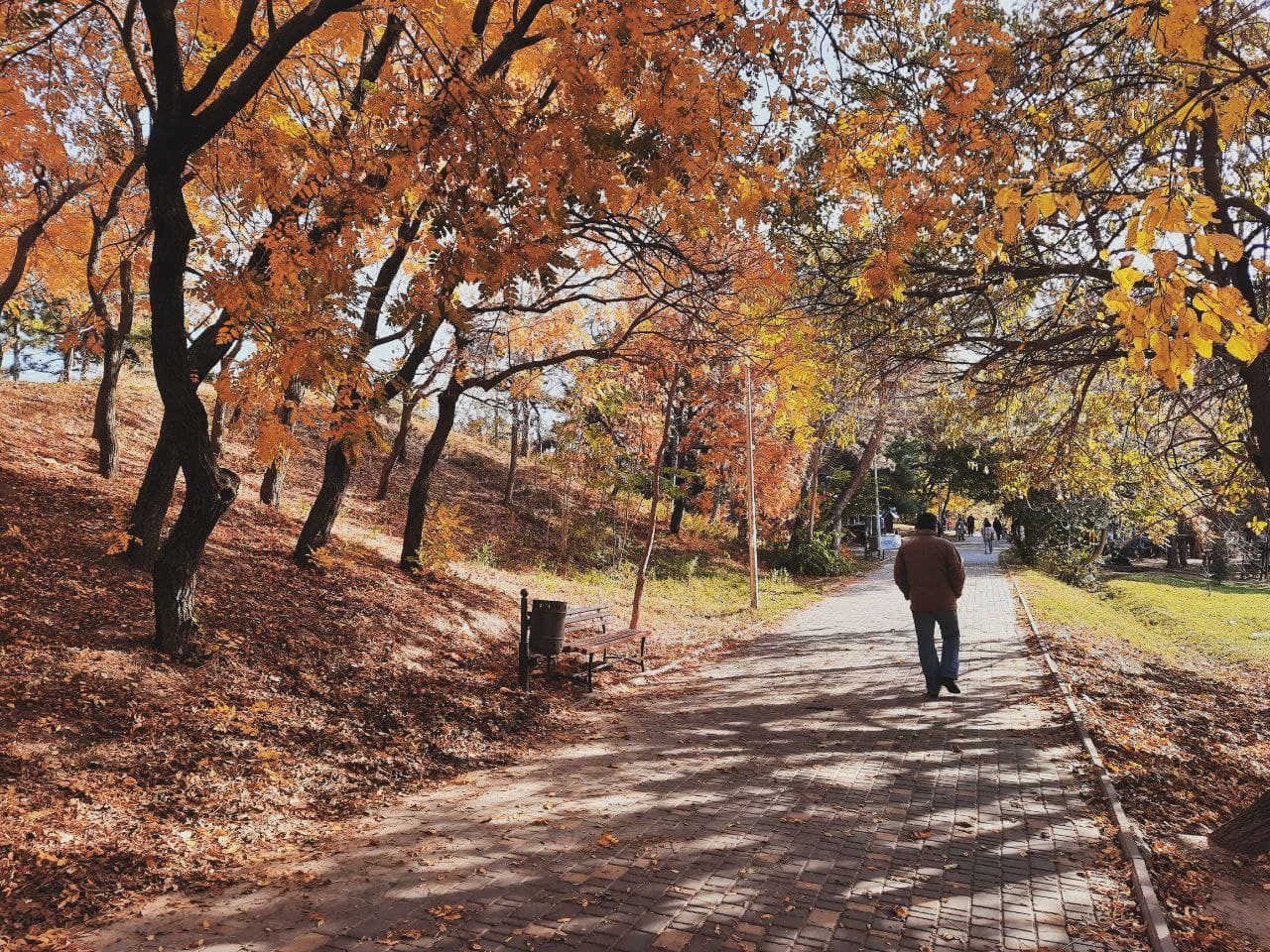Парк Победы в Одессе в октябре 2021 года. Фото Марины Повертайло