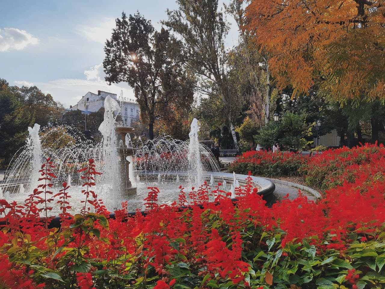 Горсад в Одессе в октябре 2021 года. Фото Марины Повертайло