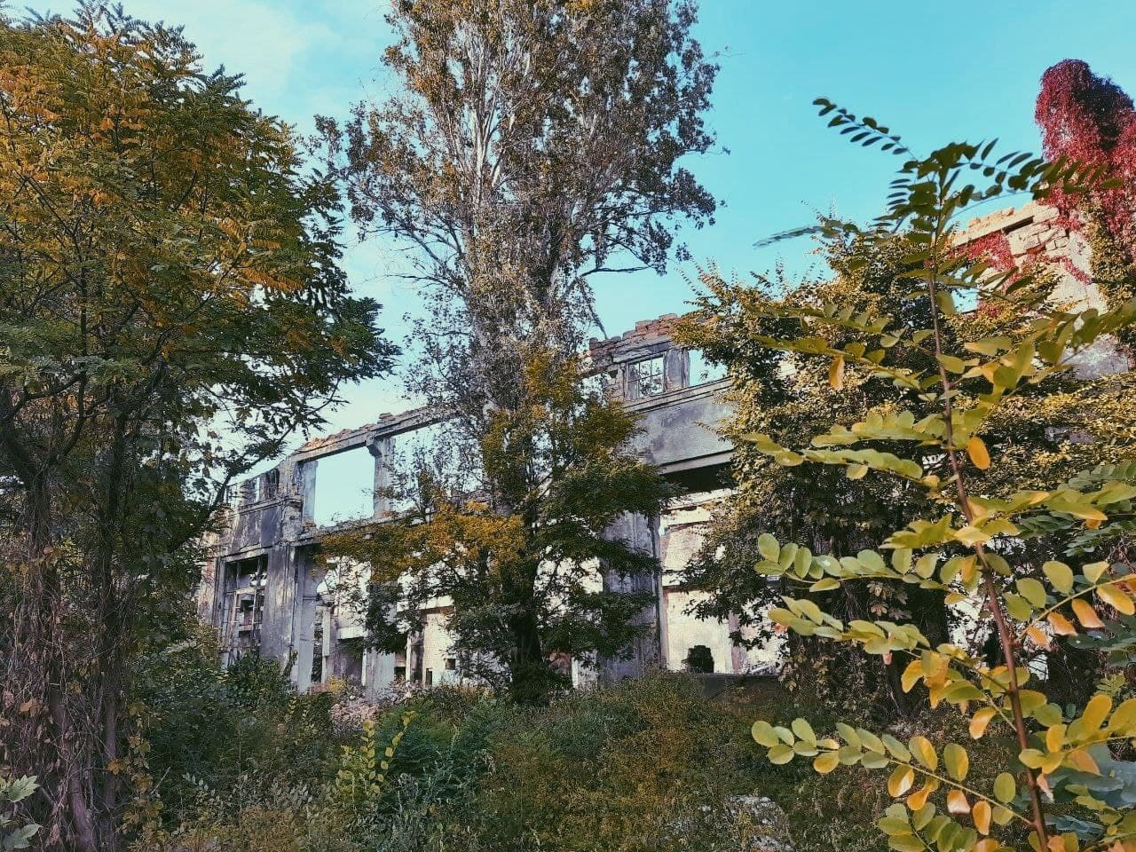 Корпус Одесского судоремонтного завода осенью 2021 года. Фото Марины Повертайло