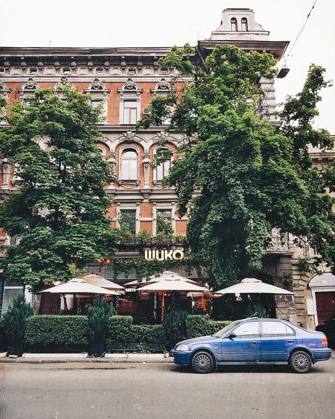 "Шико". Фото: instagram.com/shikoodessa