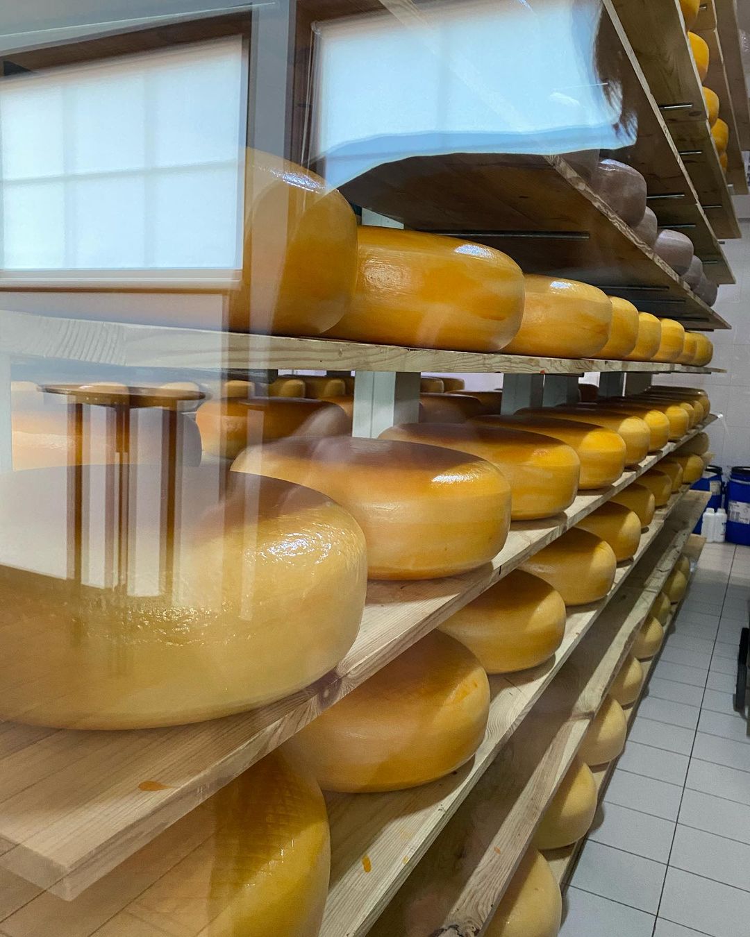 Европейская сыроварня. Фото: instagram.com/sunkissed_ukraine