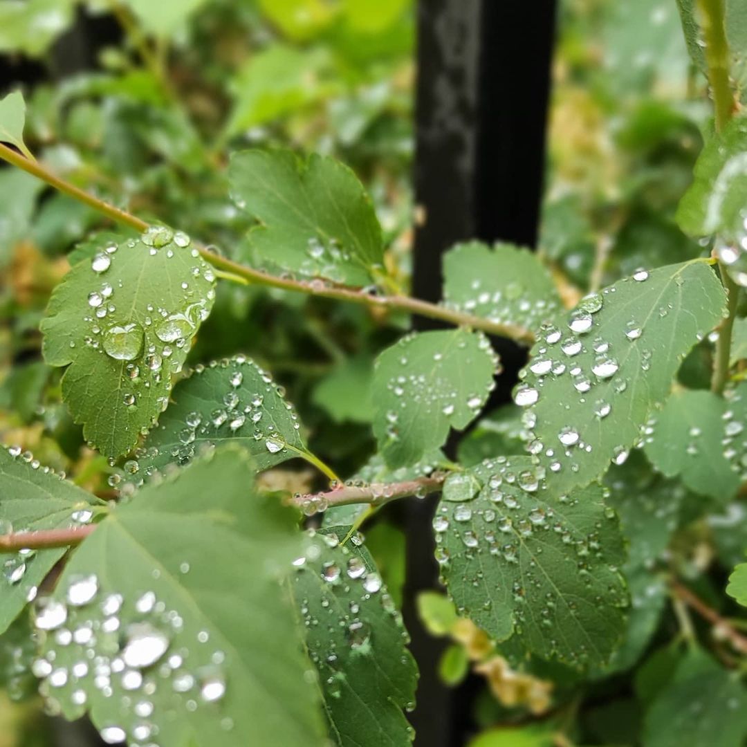 Лето 2021 года в Одессе началось с проливных дождей. Фото: Света Балабан