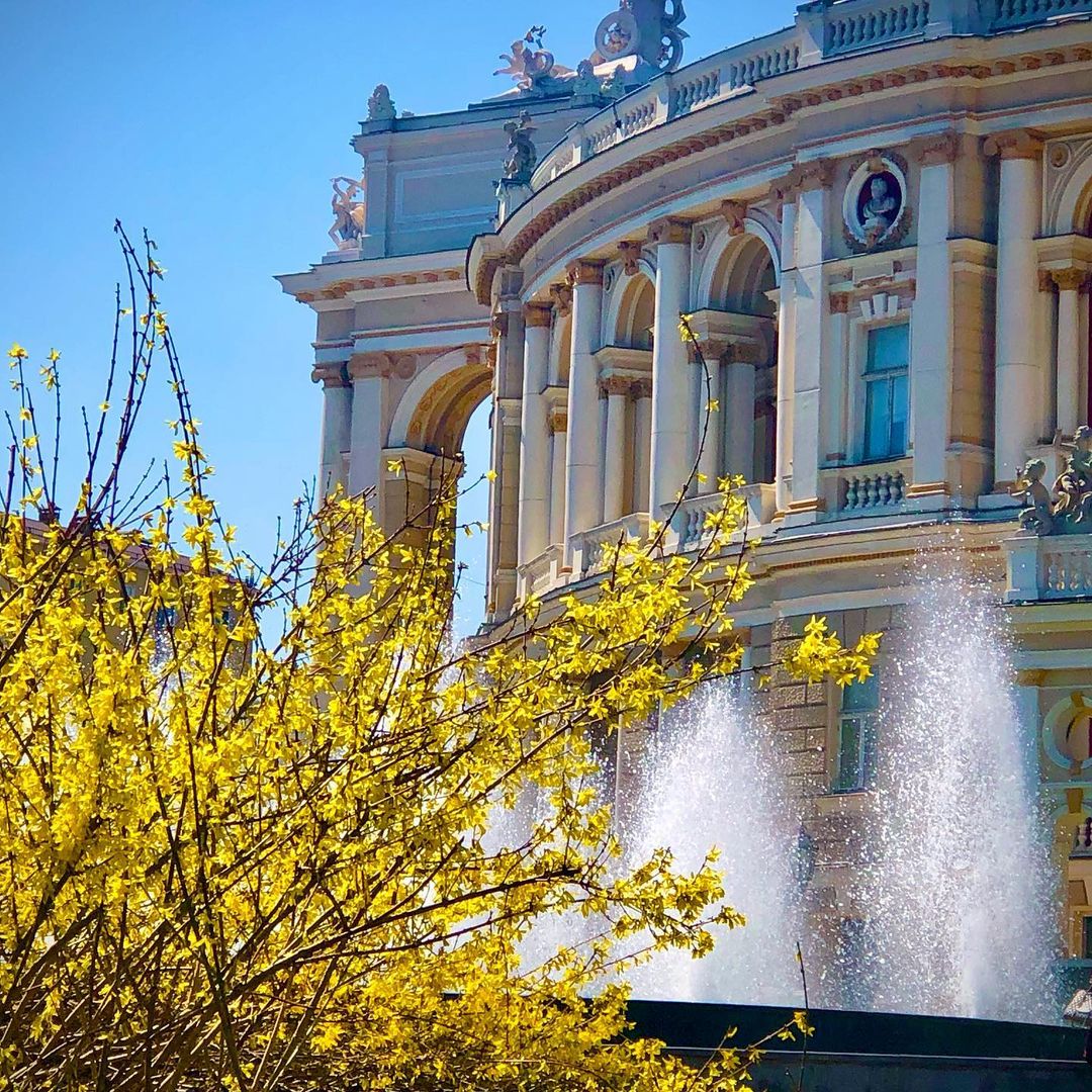 Полюбуйся долгожданной весной: в Одессе начали цвести деревья. Фото: instagram.com/tatyanakaminska