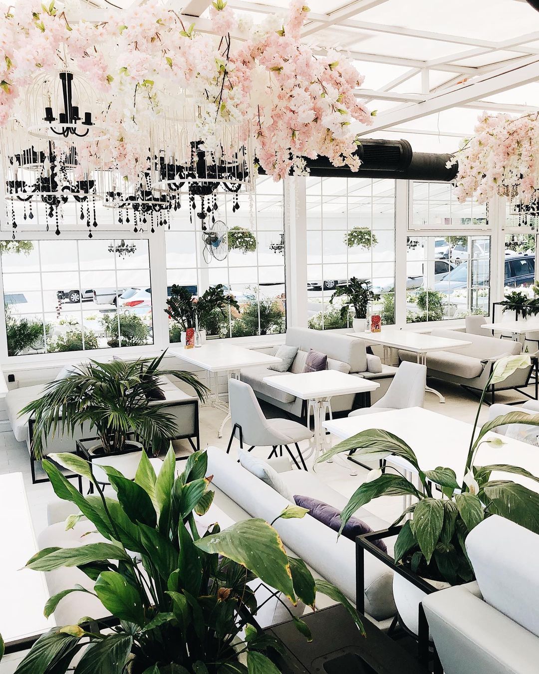 Terrace. Sea view. Фото: instagram.com/terraceseaview