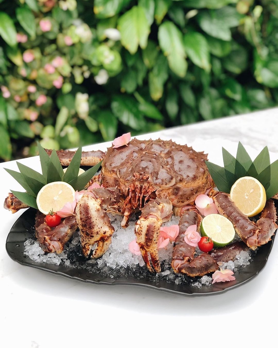 Terrace. Sea view. Фото: instagram.com/terraceseaview