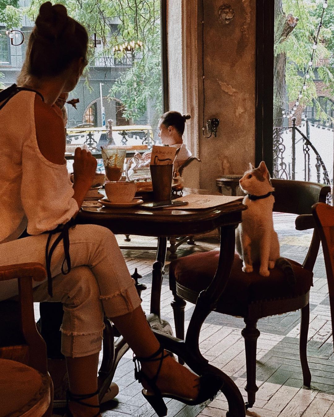 Возьми четвероногих друзей с собой: 10 pet-friendly заведений в Одессе. The Lodge Cafe