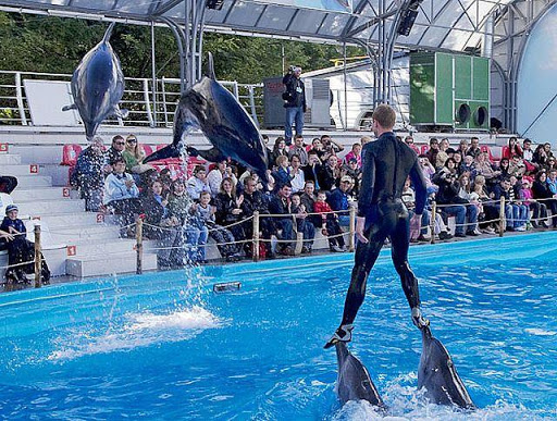 Одесский дельфинарий