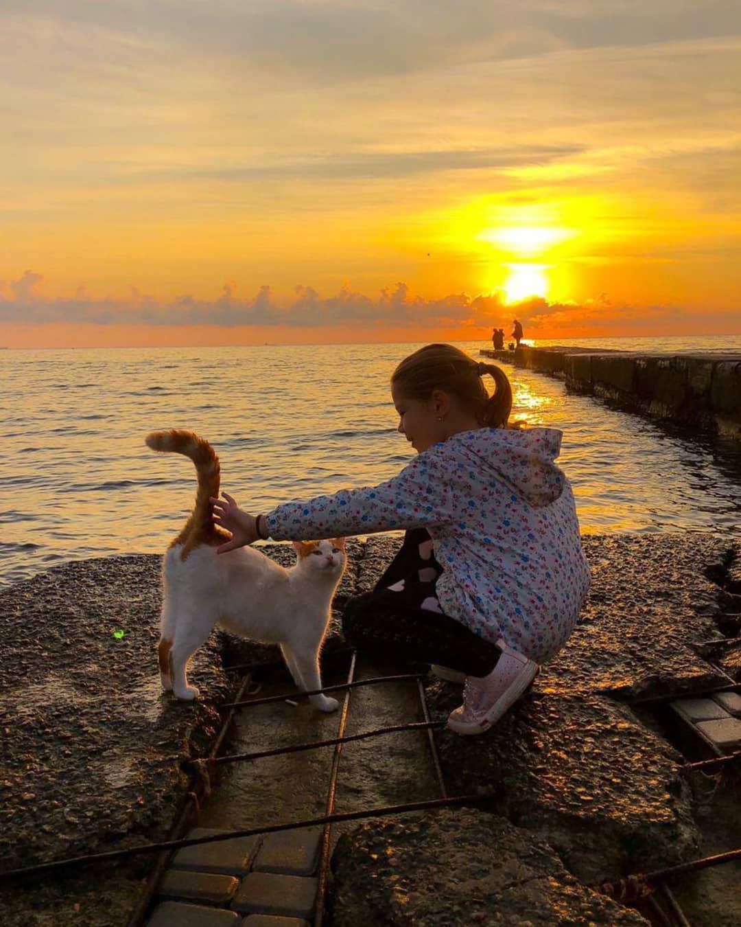 Осенние закаты и рассветы в Одессе. Фото: usionline