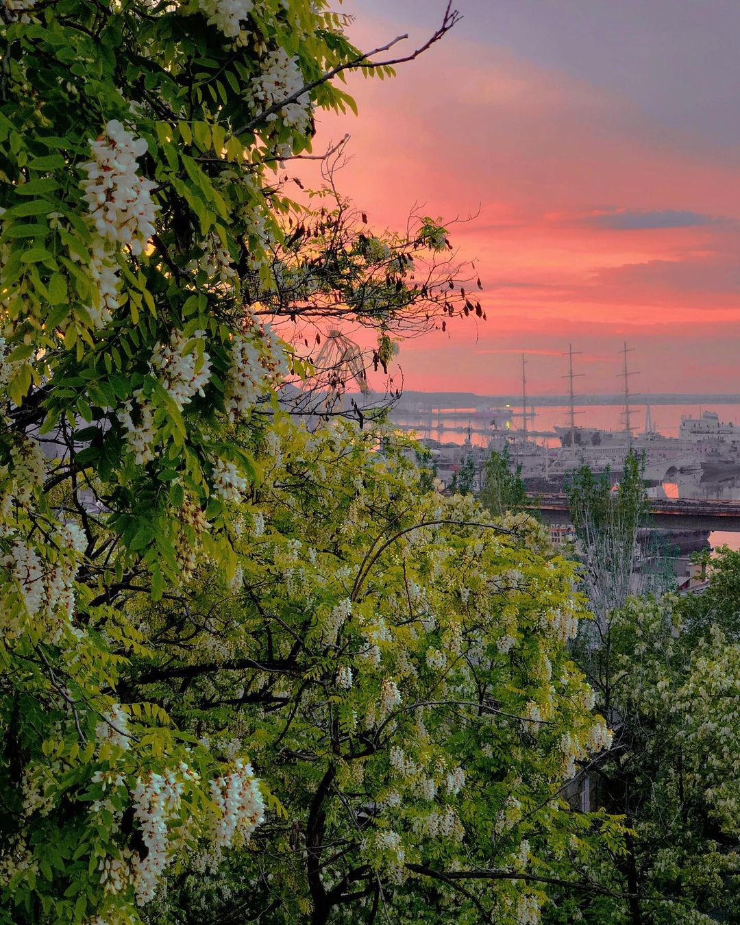 Лето 2021 года в Одессе началось с проливных дождей. Фото: instagram.com/vallerinova