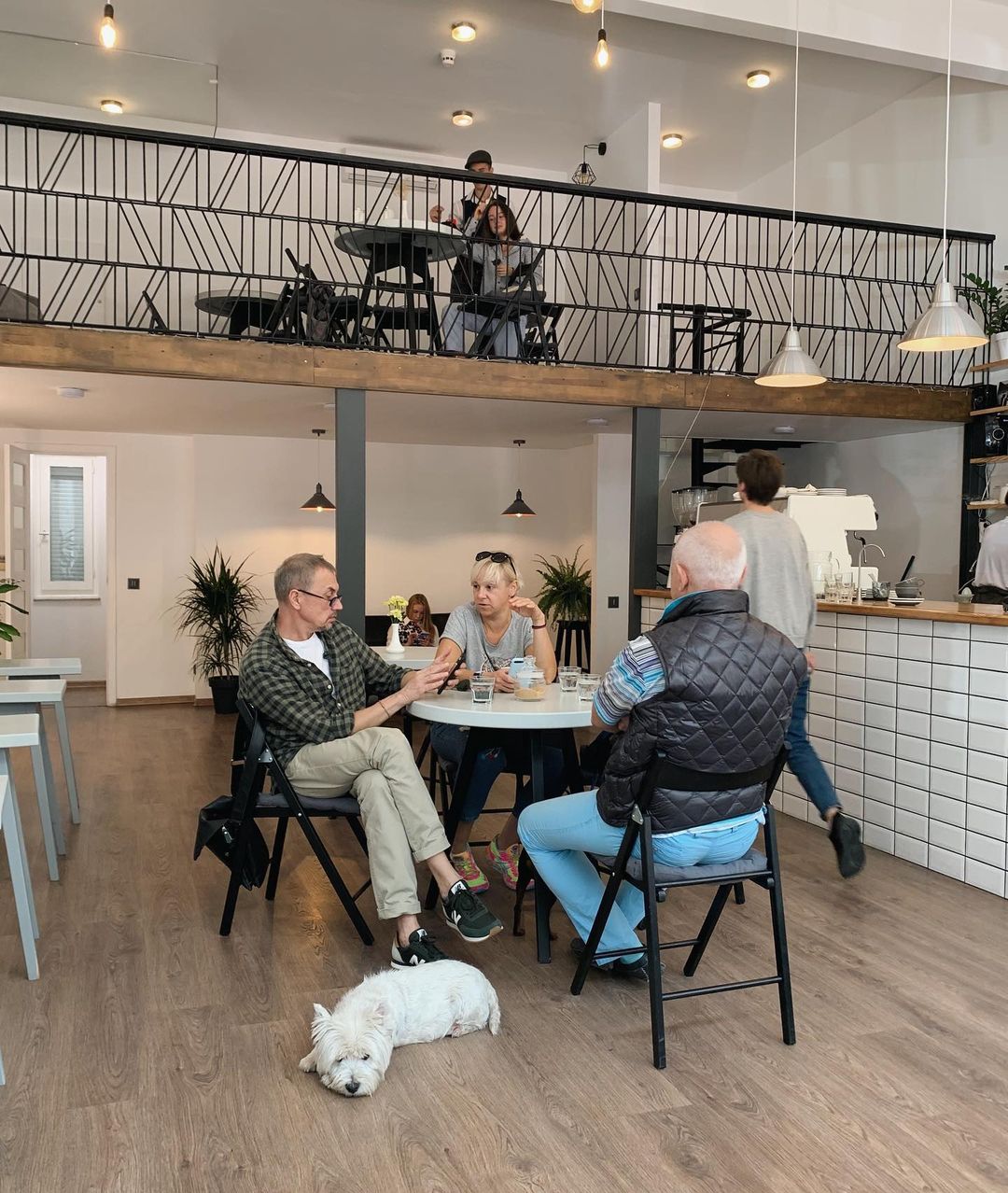 Возьми четвероногих друзей с собой: 10 pet-friendly заведений в Одессе. "Белый кит"