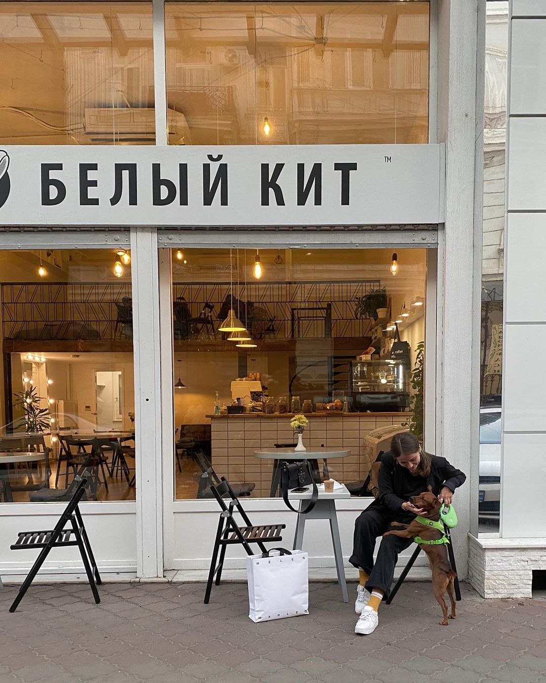 Возьми четвероногих друзей с собой: 10 pet-friendly заведений в Одессе. "Белый кит"