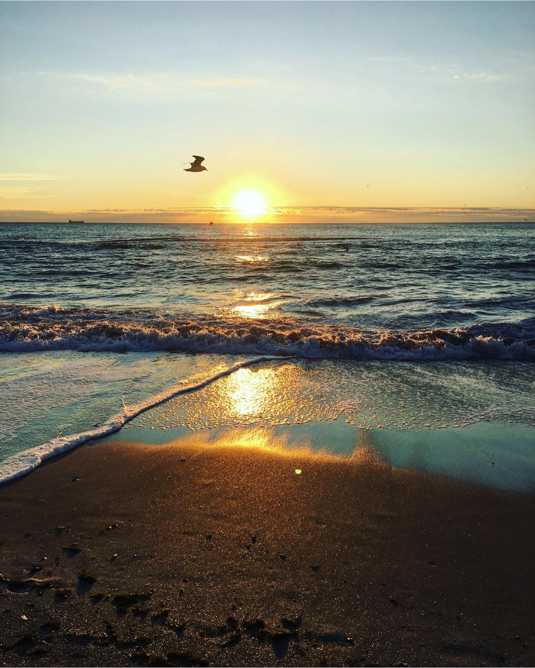 Осенние закаты и рассветы в Одессе. Фото: ya.trufanova