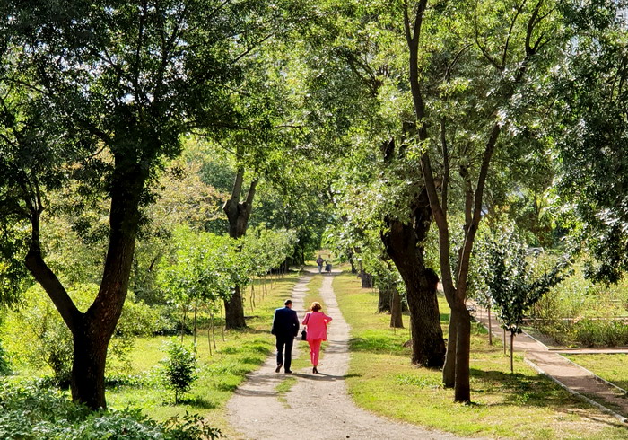 Арт-уикэнд в ботаническом саду