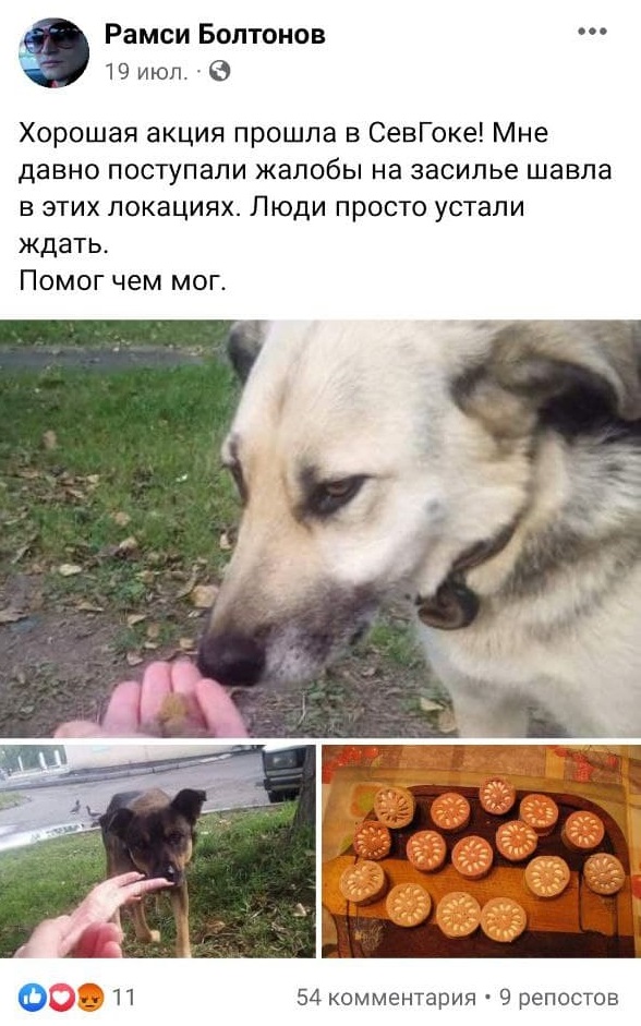 В Одессе заметили мужчину, которые травит бездомных животных.
