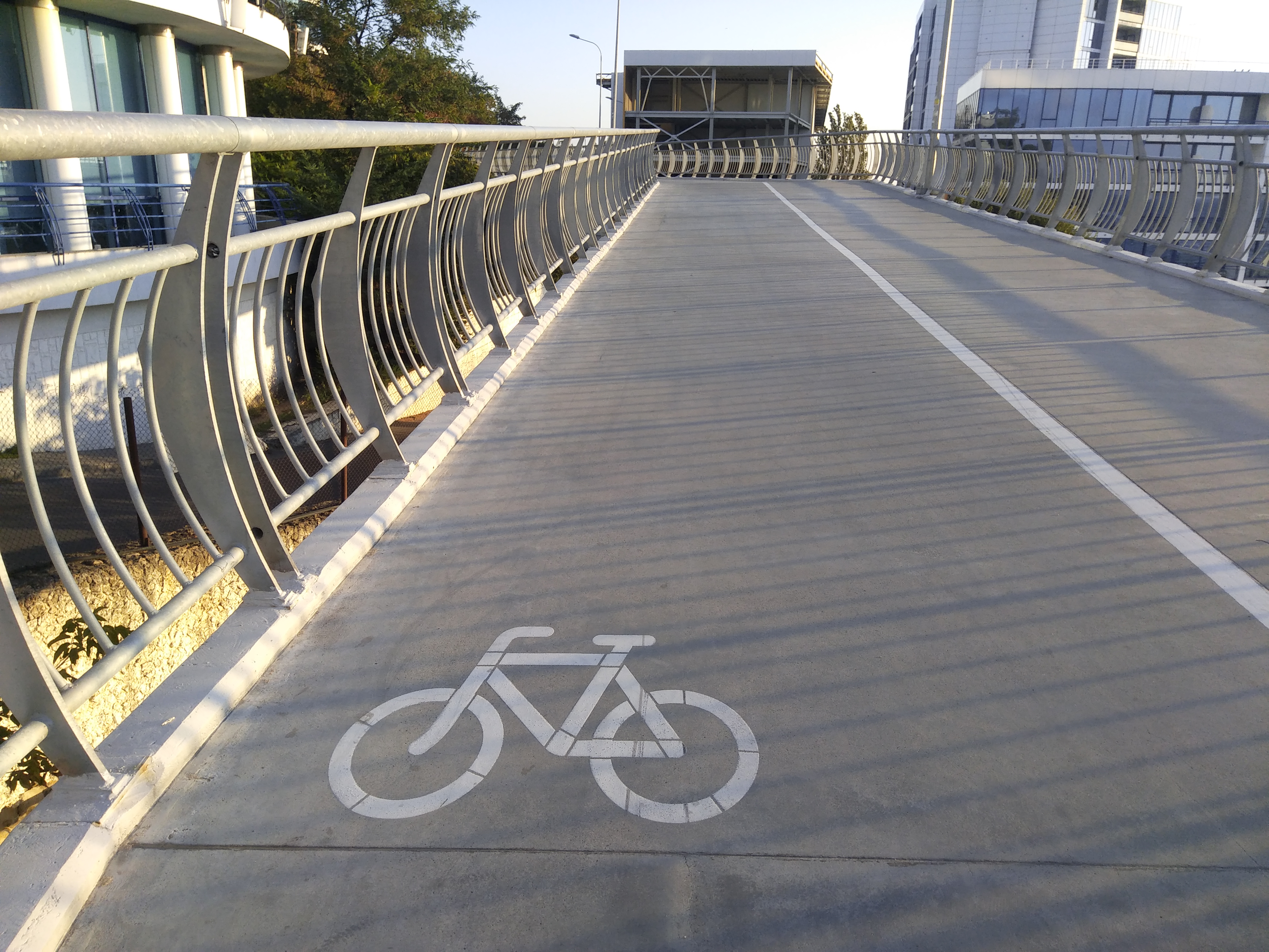 Как сейчас выглядит Трасса здоровья. Фото: Анна Веретенникова