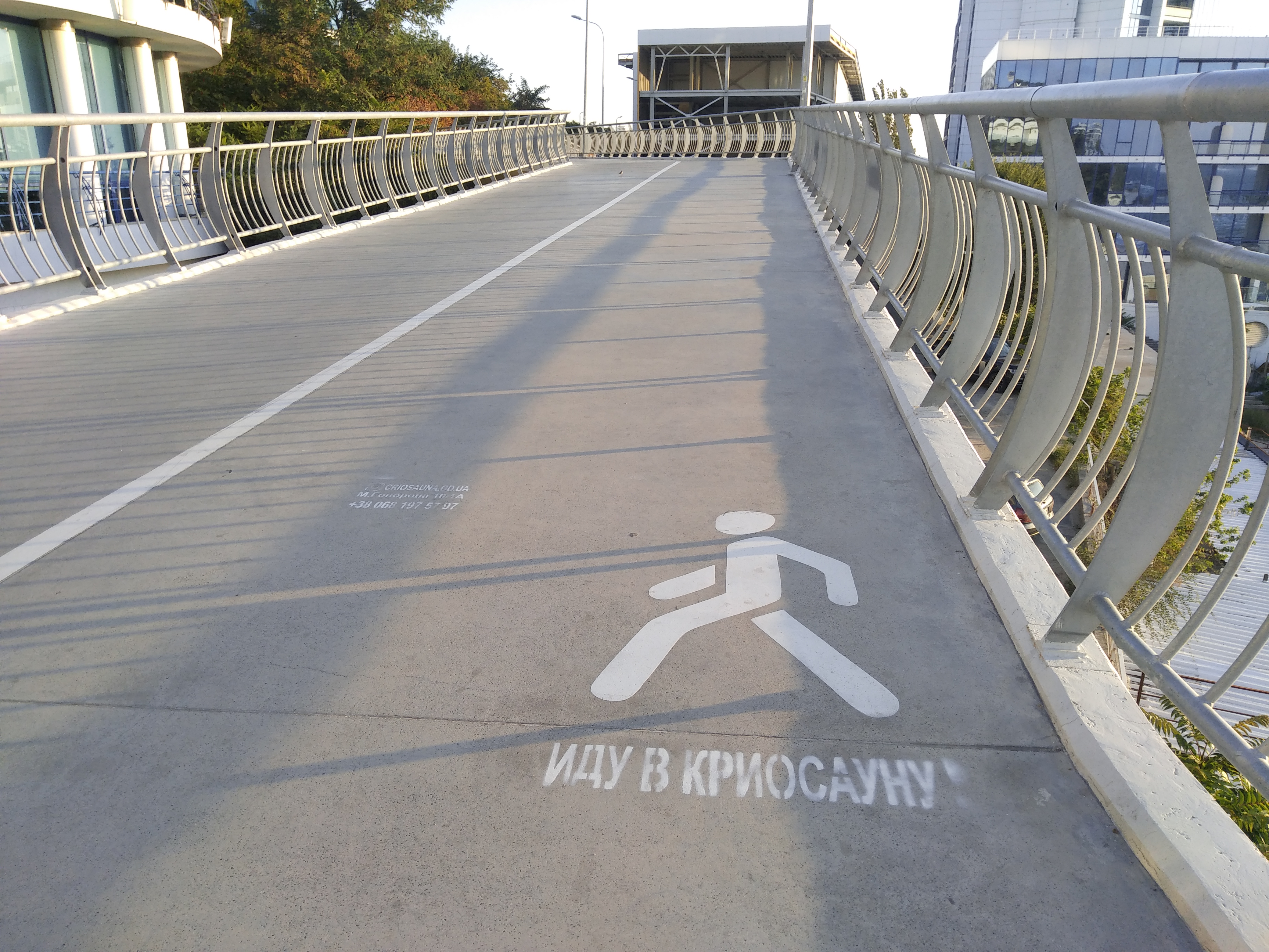 Как сейчас выглядит Трасса здоровья. Фото: Анна Веретенникова