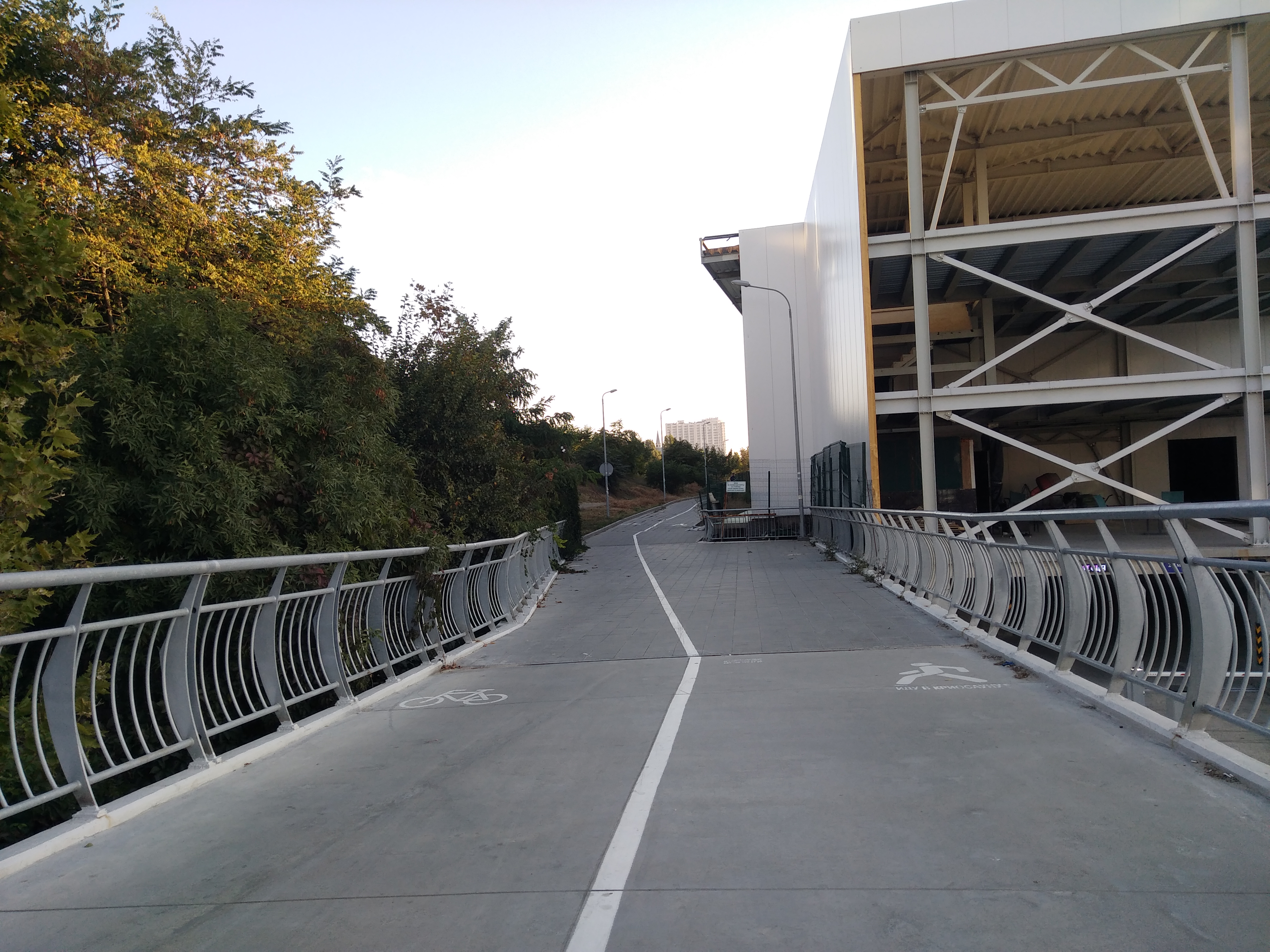 Как сейчас выглядит Трасса здоровья. Фото: Анна Веретенникова