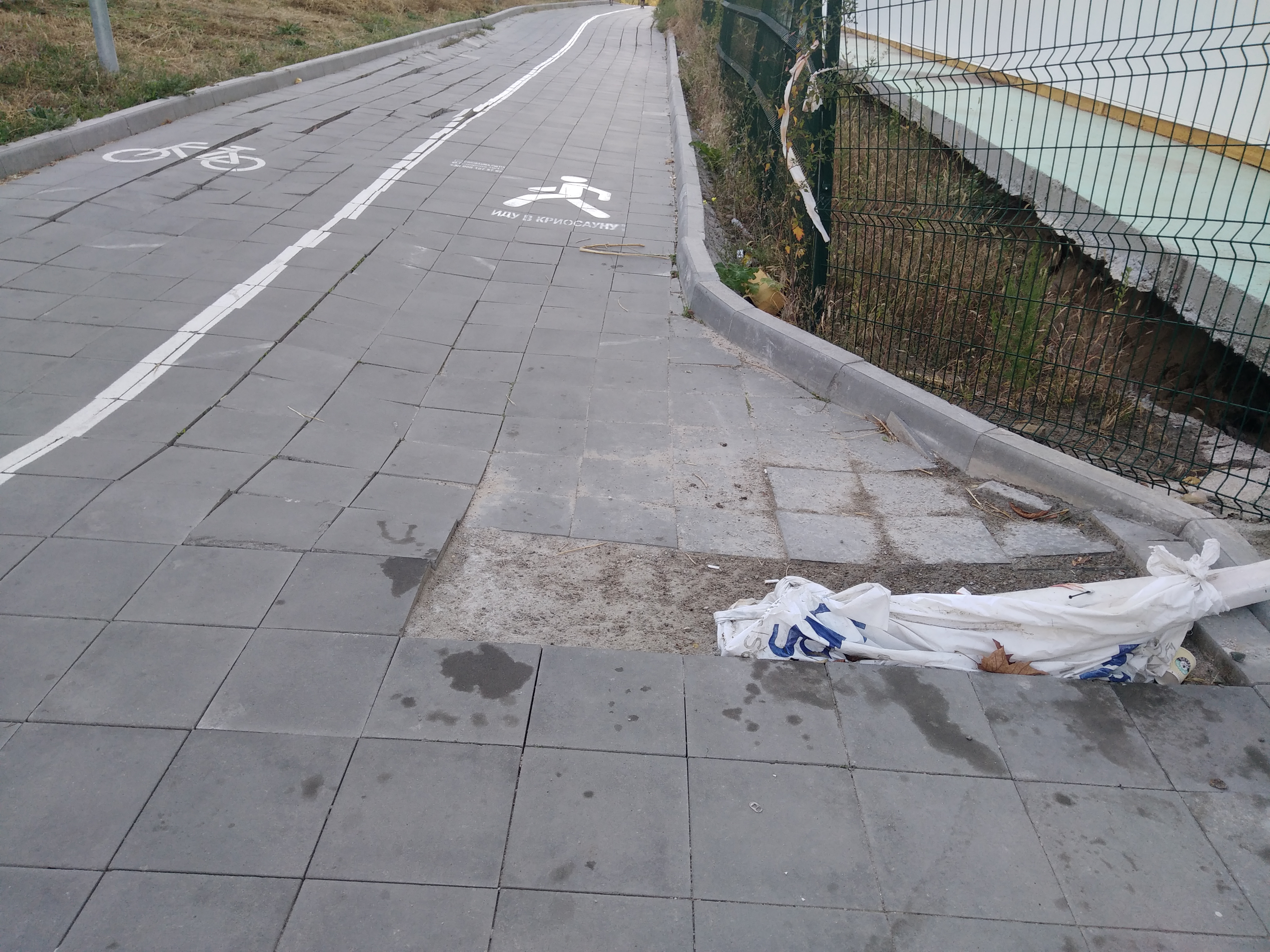 Как сейчас выглядит Трасса здоровья. Фото: Анна Веретенникова