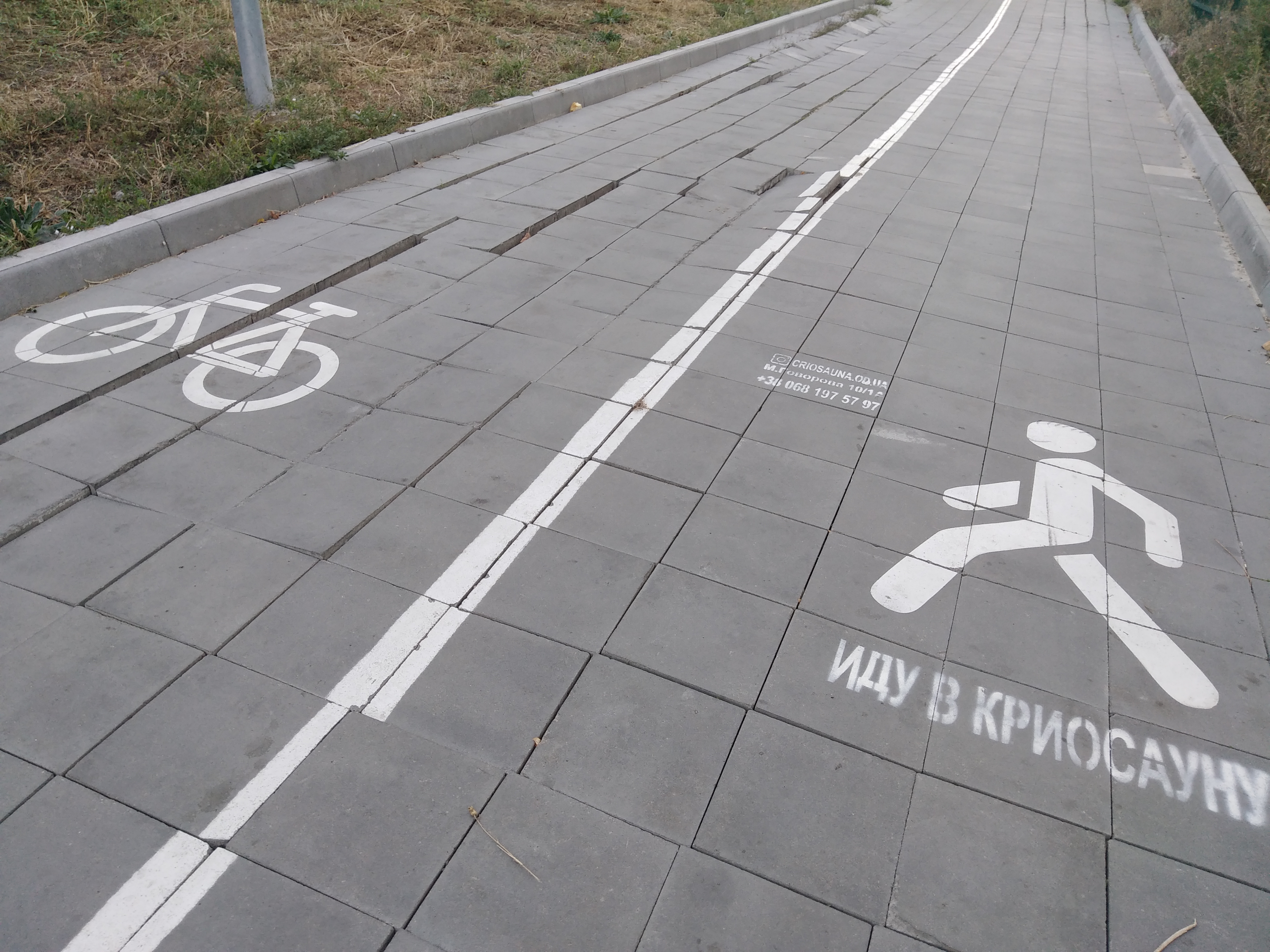 Как сейчас выглядит Трасса здоровья. Фото: Анна Веретенникова