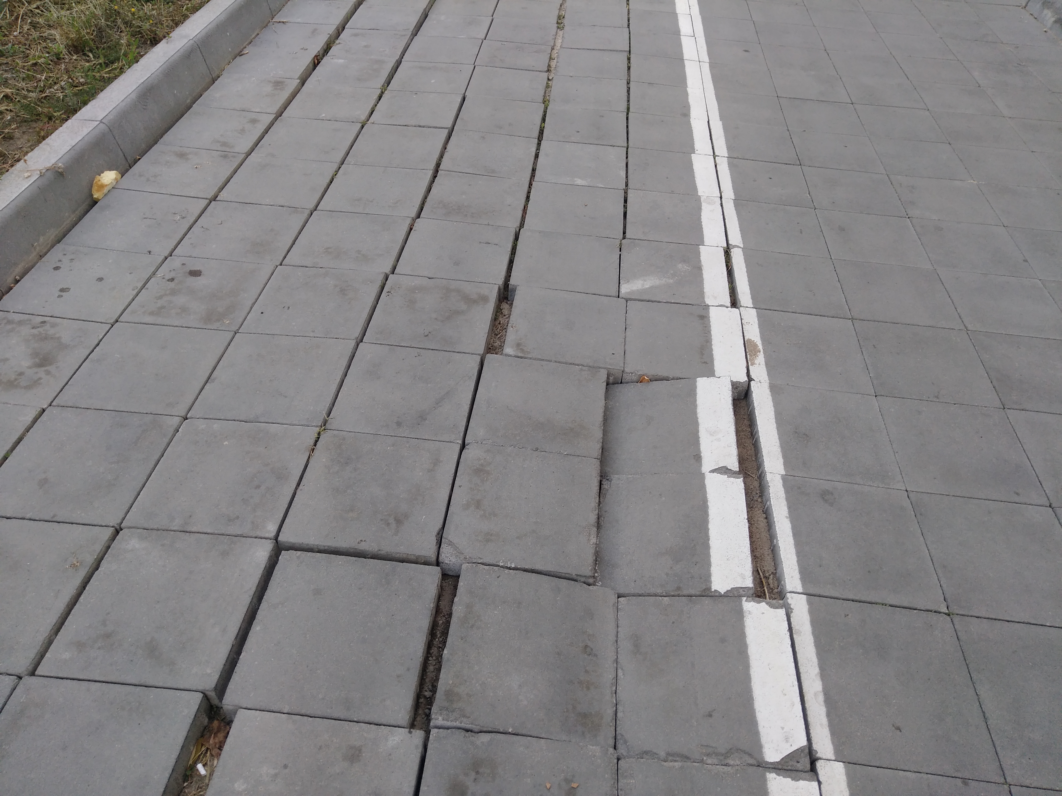 Как сейчас выглядит Трасса здоровья. Фото: Анна Веретенникова